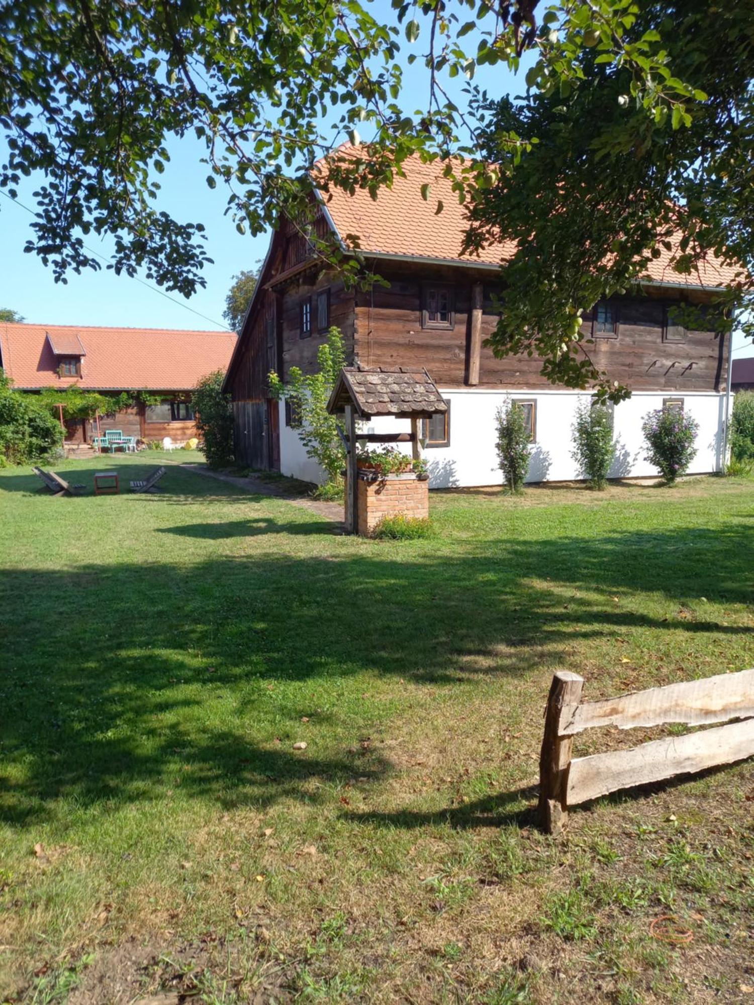 Pension Sava Turizam Lonja Extérieur photo